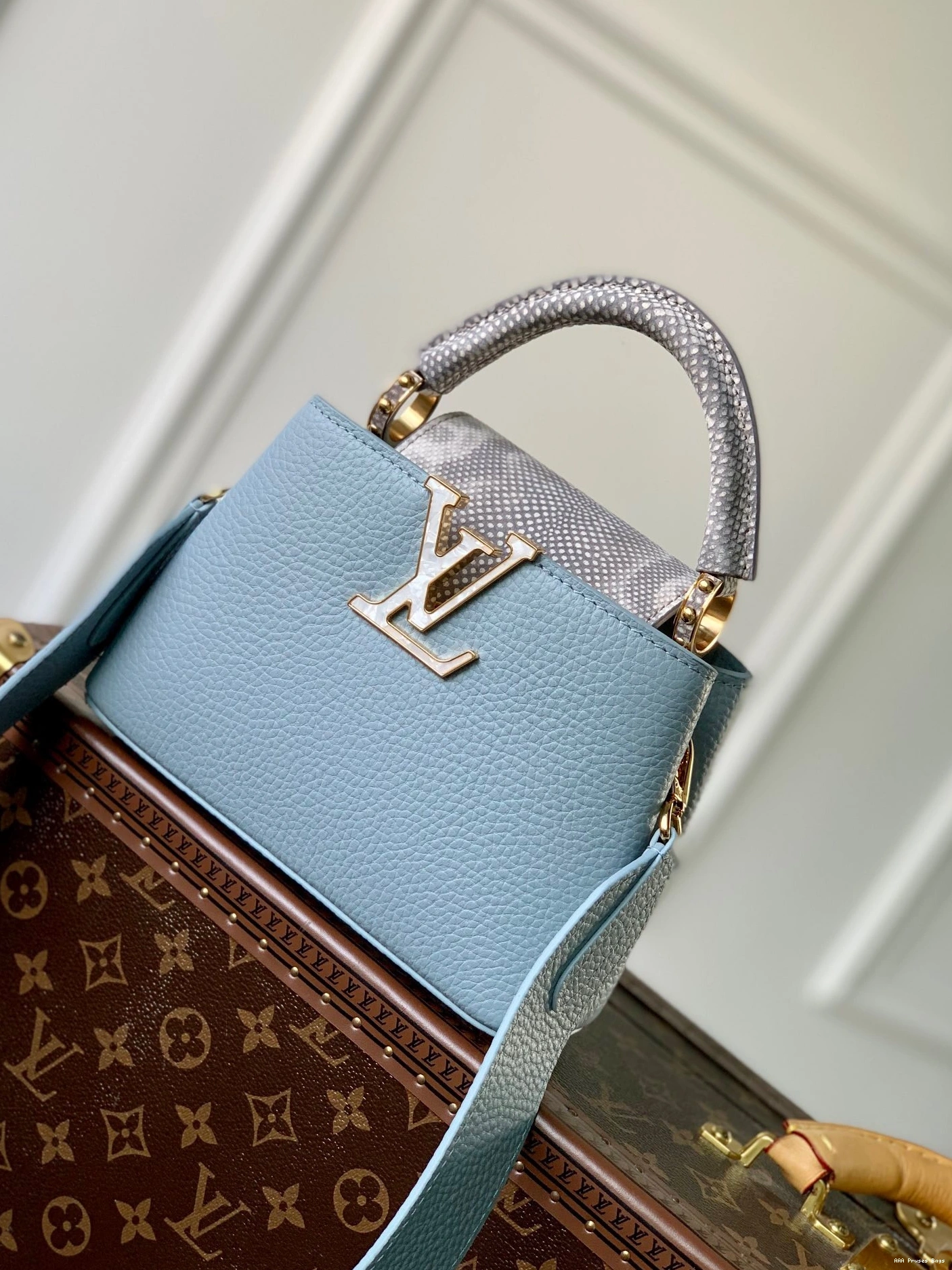 AAA Pruses Bags LOUIS CAPUCINES MINI VUITTON 0715